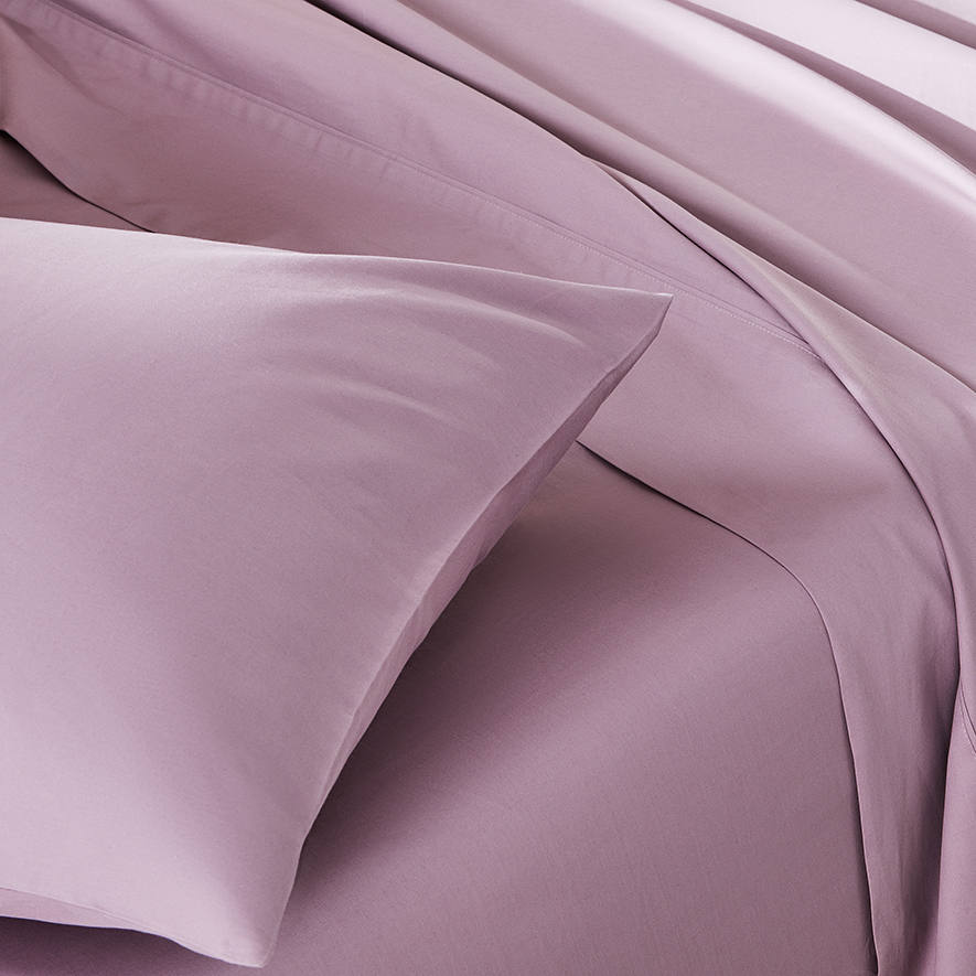 Worlds Softest Cotton Sheets 500TC Pima World's Softest Cotton Violet