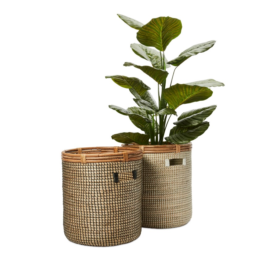 Dunedin White & Natural Basket Adairs