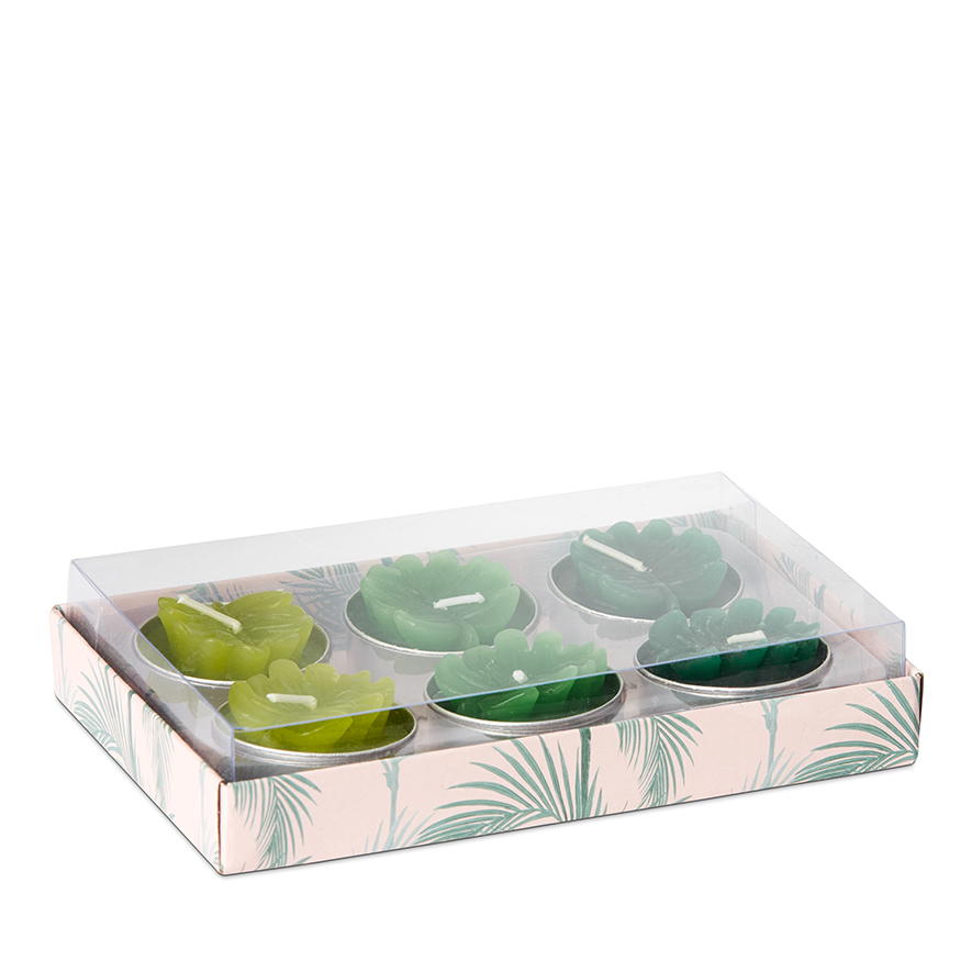 Home Republic Tropical Candle Collection Palms Set of 6 Adairs