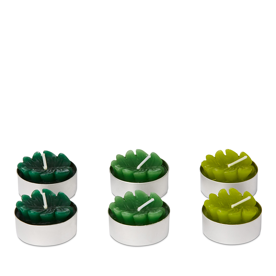 Home Republic Tropical Candle Collection Palms Set of 6 Adairs