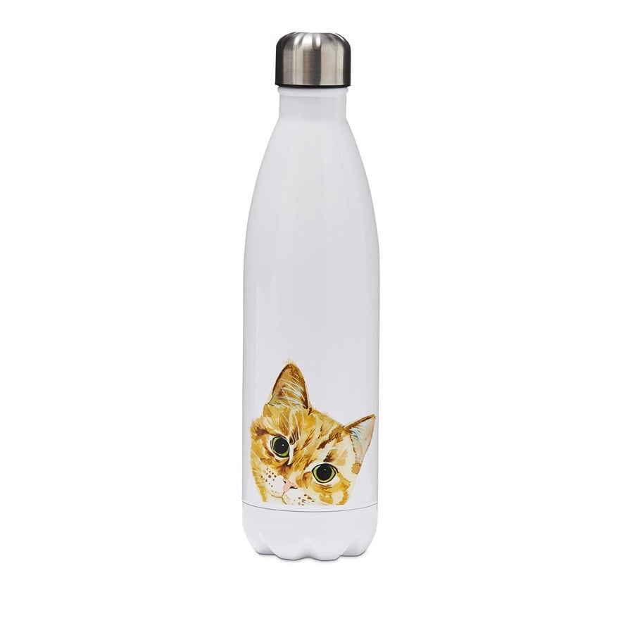 Cat shop drink bottle