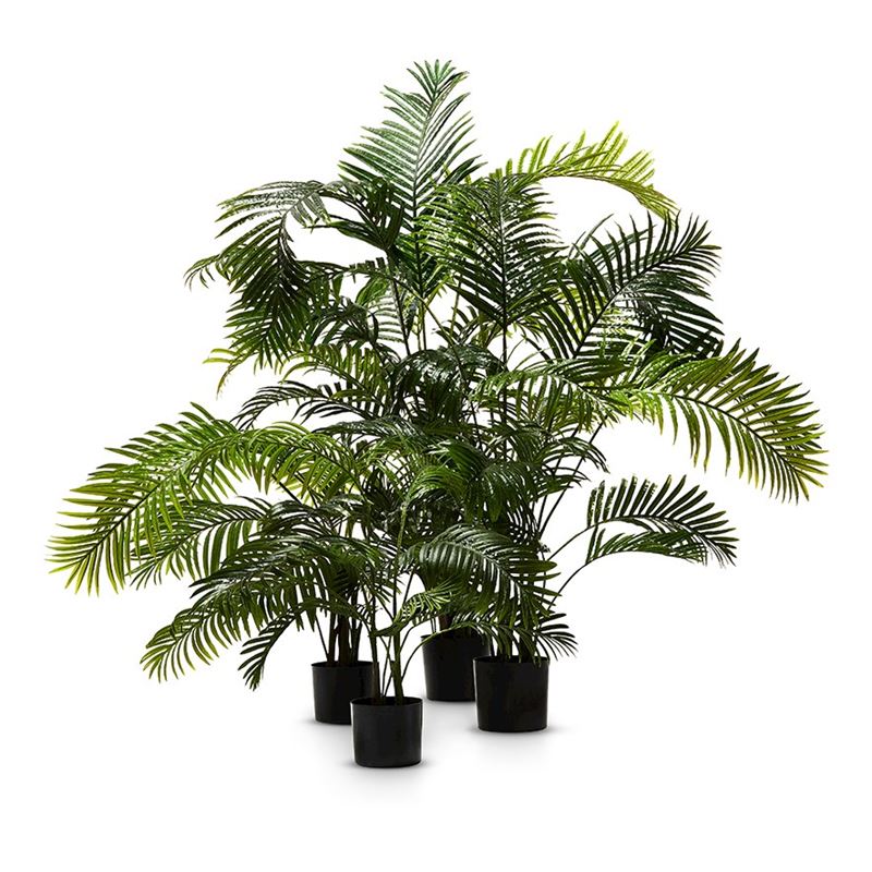 Areca Palm Potted Plant 100cm