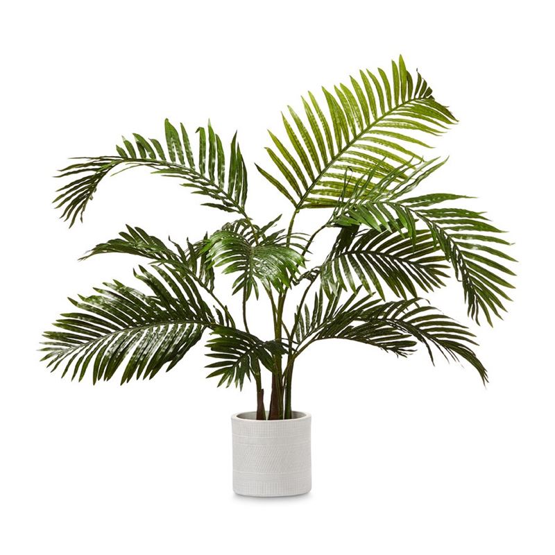 Areca Palm Potted Plant 110cm
