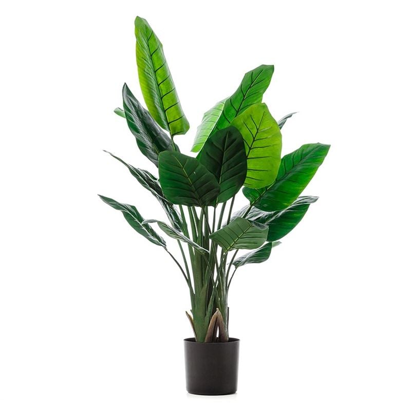 Bird Of Paradise Potted Plant 135cm