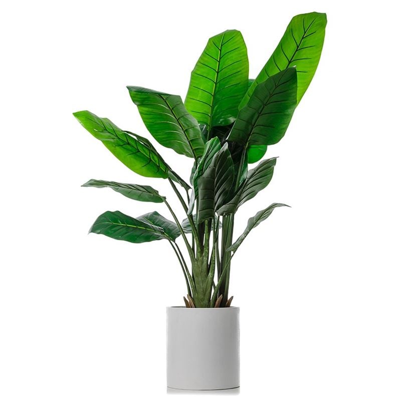 Bird Of Paradise Potted Plant 135cm