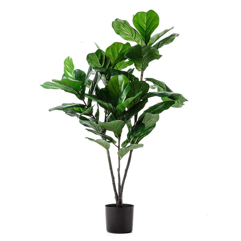 Fiddle Fig Potted Plant 120cm