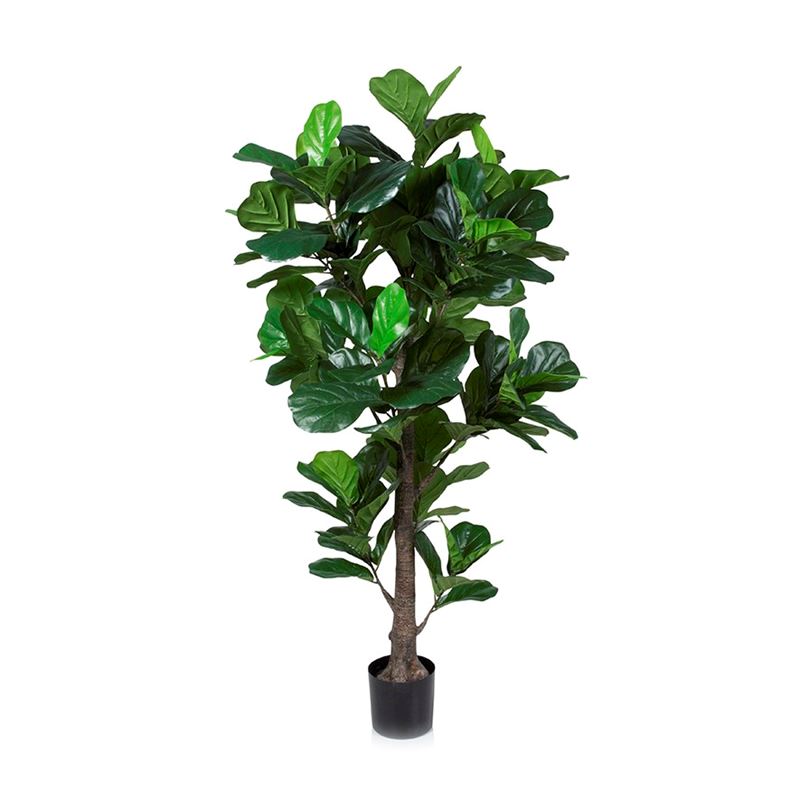 Fiddle Fig Potted Plant 190cm