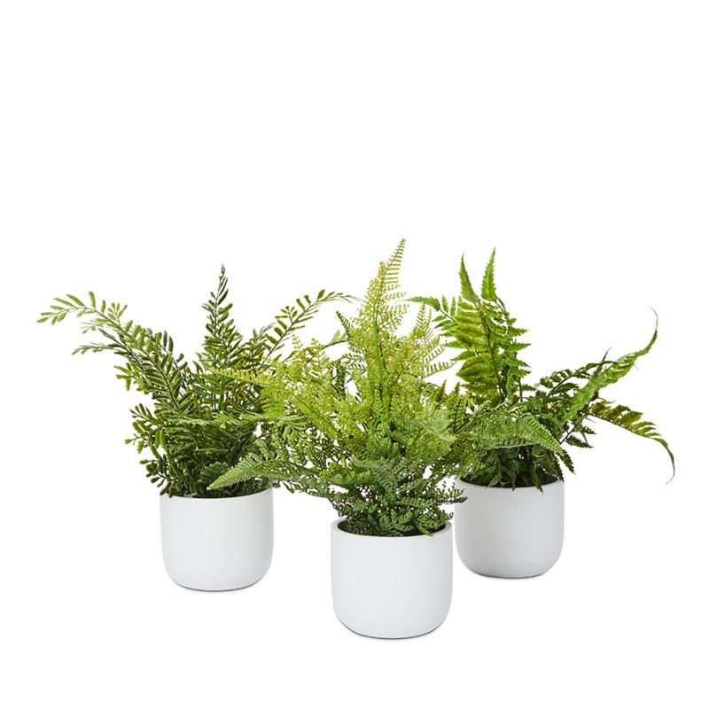 Lennox White & Green Lace Potted Fern