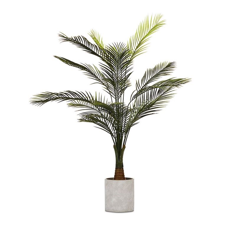 Evergreen Palm Tree Plant 177cm