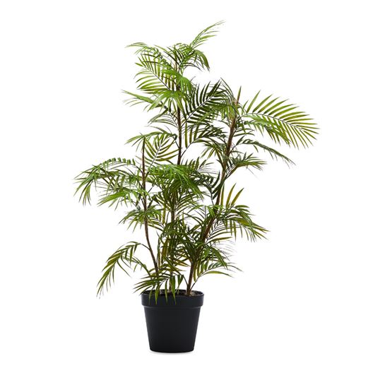 Potted Fern 108cm