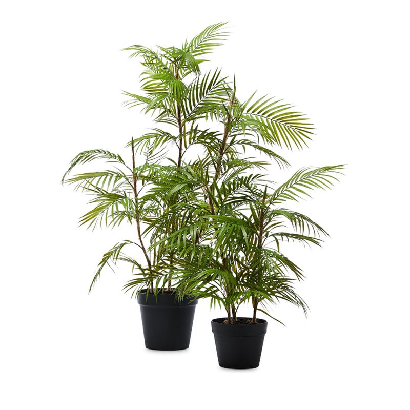 Potted Fern 108cm