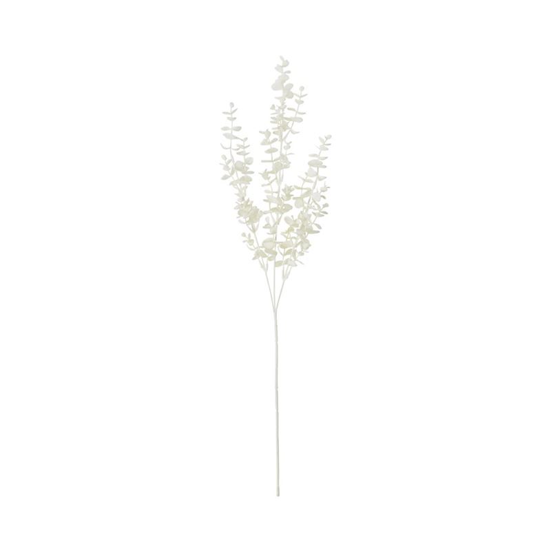 Winter White Eucalyptus Stem | Adairs
