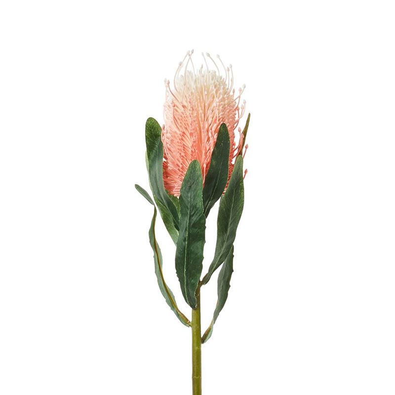 Spring Stems Banksia Pink 