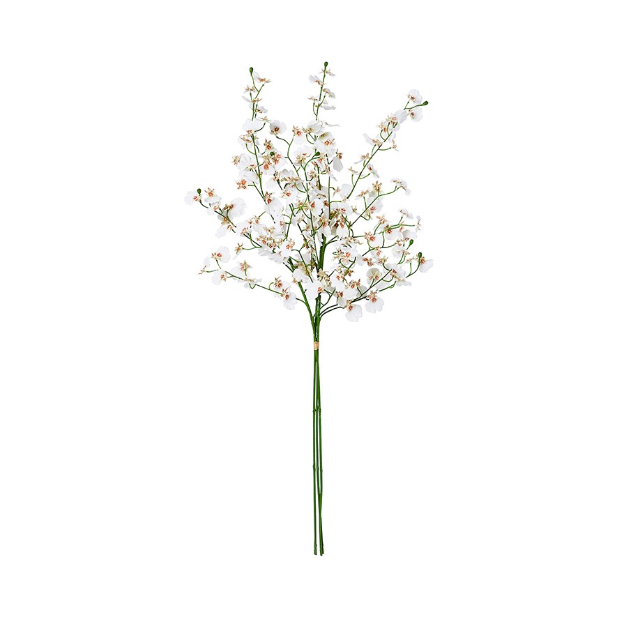White Dancing Orchids Spring Stems | Adairs