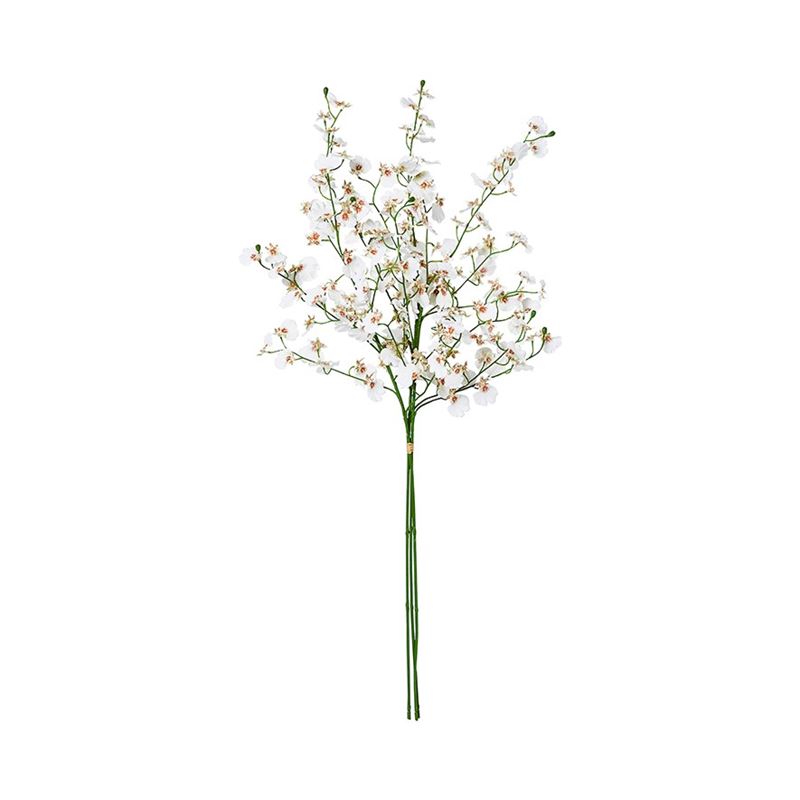 White Dancing Orchids Spring Stems