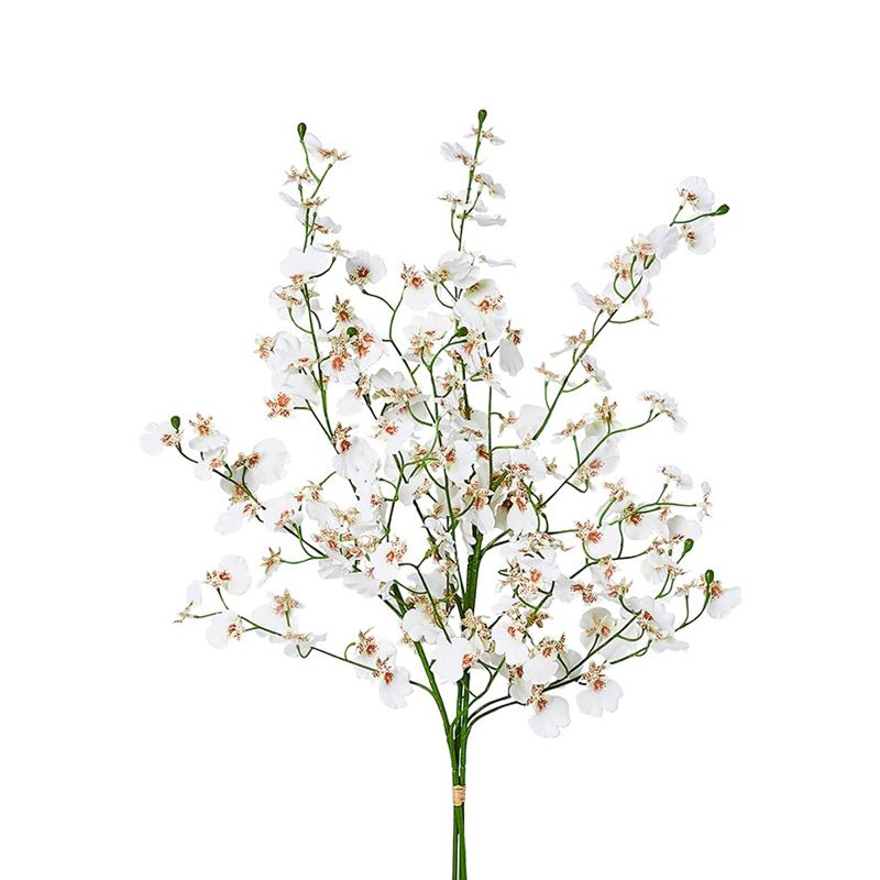White Dancing Orchids Spring Stems