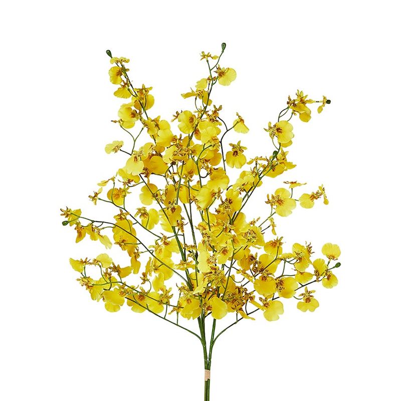Yellow Dancing Orchids Spring Stems