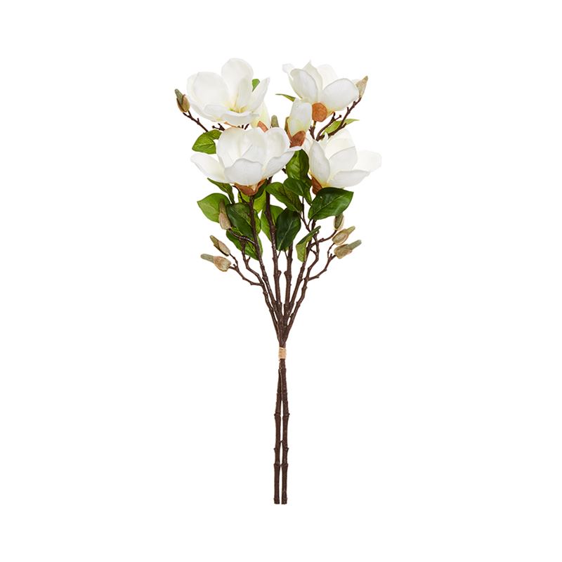 Spring Stems Magnolia Flower White