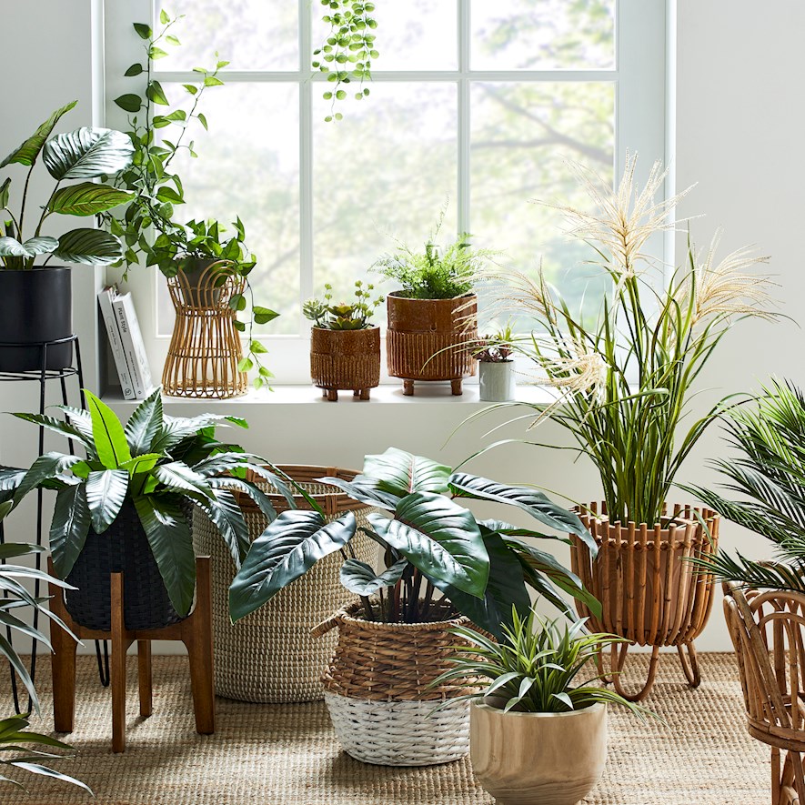 Home Republic Colorado Plant Stand Black Adairs