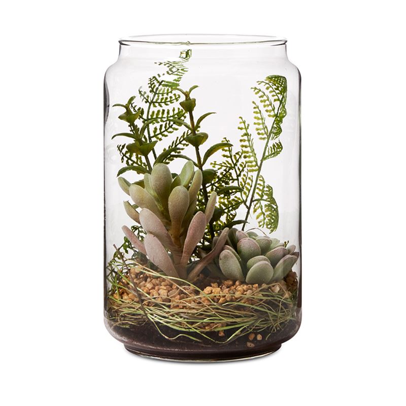 Myoko Terrarium Succulent 