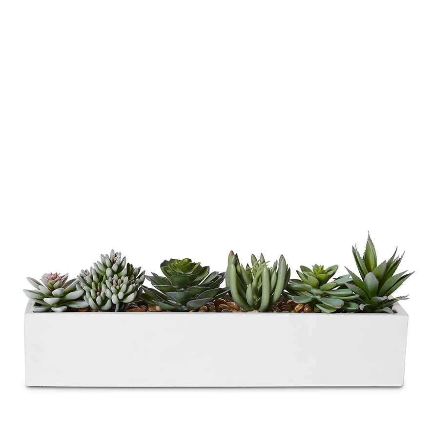 Home Republic Kochi Succulent Garden Large White Adairs