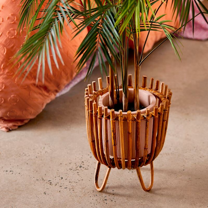 Airlie Natural Gated Plant Stand 
