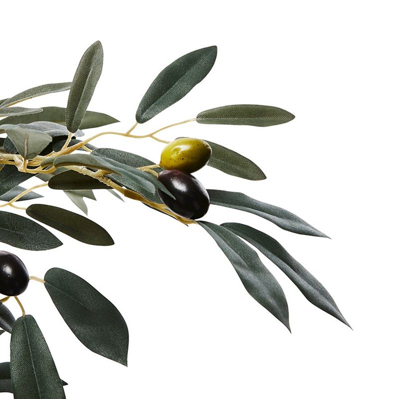 Mediterranean Garden Small Olive Tree 