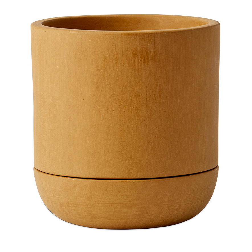 Linley Mustard Pot Adairs