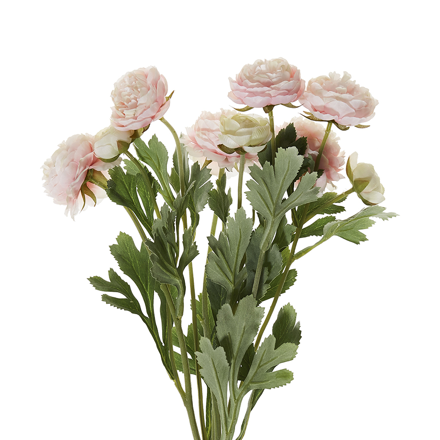Spring Stems Flocked Ranunculus Pink | Adairs