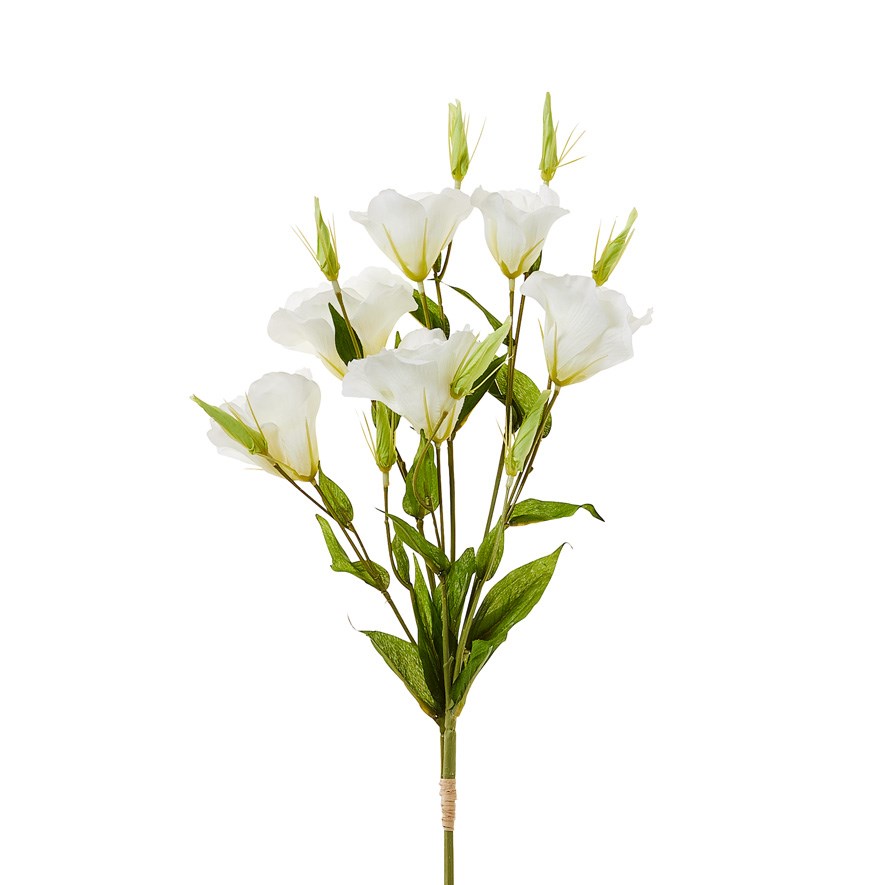 Mercer + Reid Spring Stems White Lisianthus Adairs