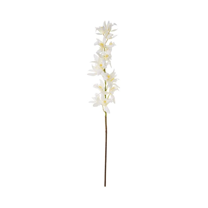 White Dendrobium Spring Stems