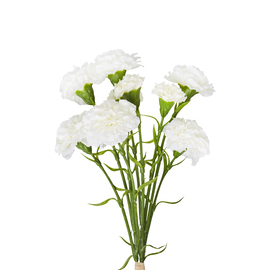 Mercer + Reid Spring Stems Carnation Adairs