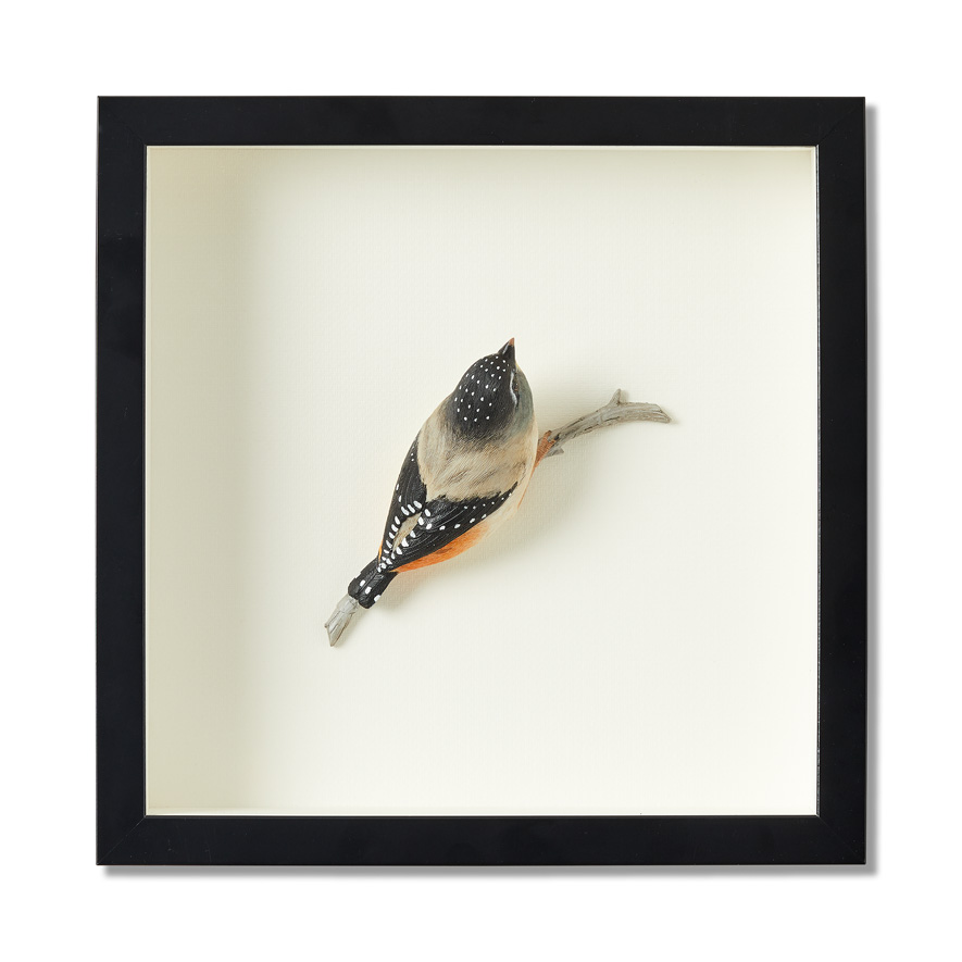 Framed Amber Spotted Wren Bird Sculpture Adairs