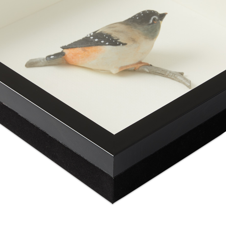 Framed Amber Spotted Wren Bird Sculpture Adairs