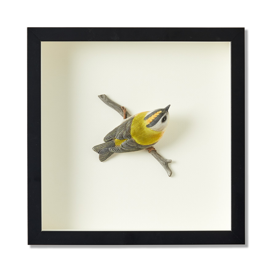 Framed Yellow Warbler Bird Sculpture Adairs
