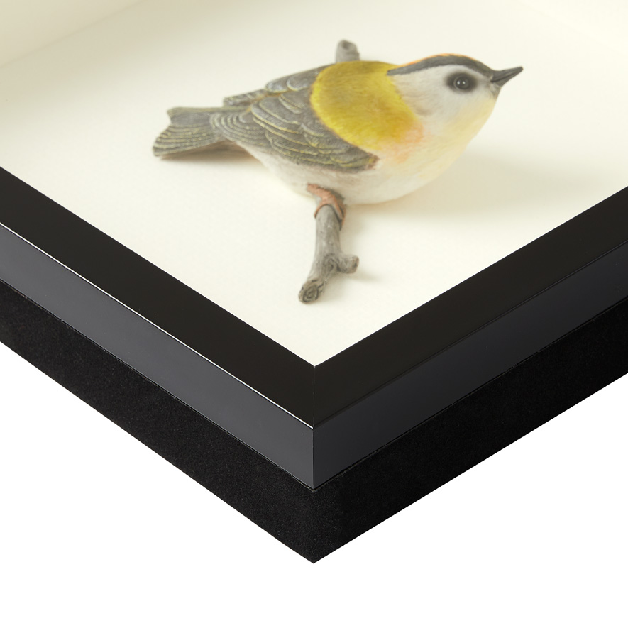 Framed Yellow Warbler Bird Sculpture Adairs