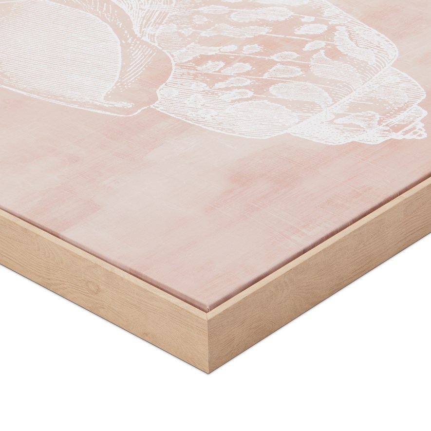 Hamptons Faded Terracotta Shell Wall Art Adairs