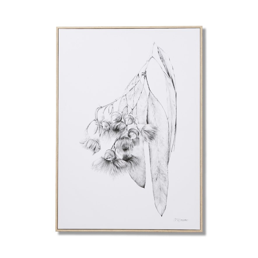 Anna Marrone Native Graphite Gumnut Wall Art Adairs