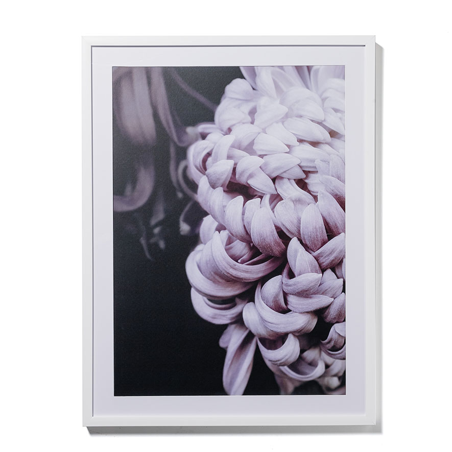 Mercer + Reid Photographic Floral Print Chrysanthemum Homewares