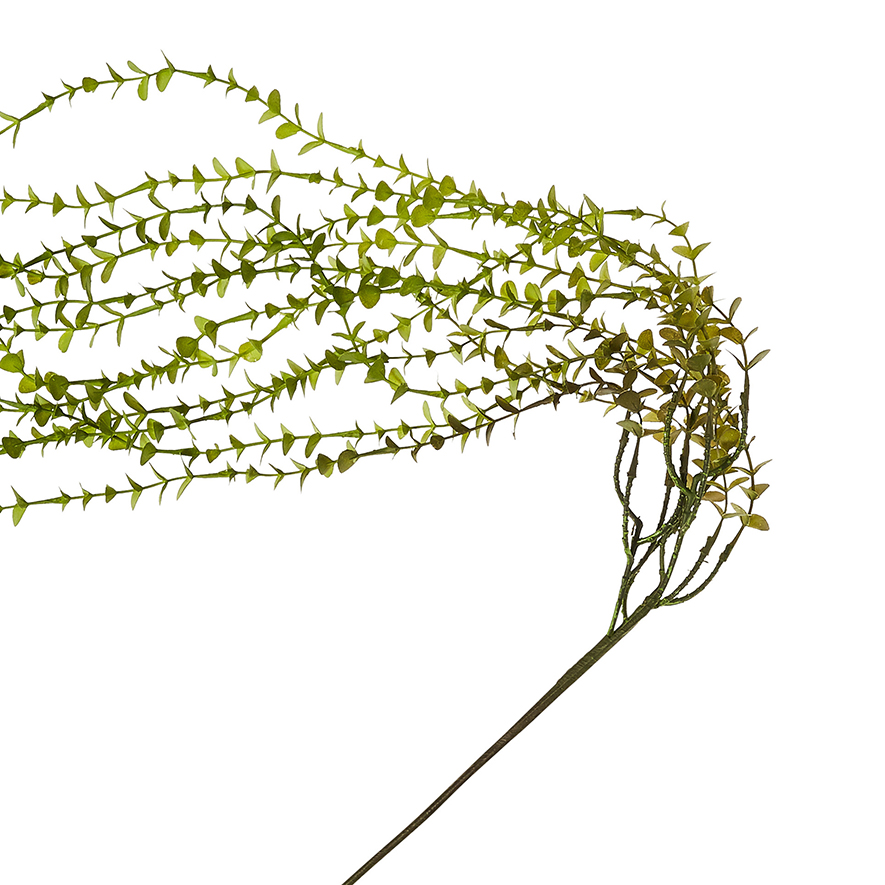 Spring Stems Mini Eucalyptus Vine Green | Adairs